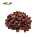 Pure natural jumbo Red dried seedless raisin for wholesale
Delicious  jumbo dried raisin